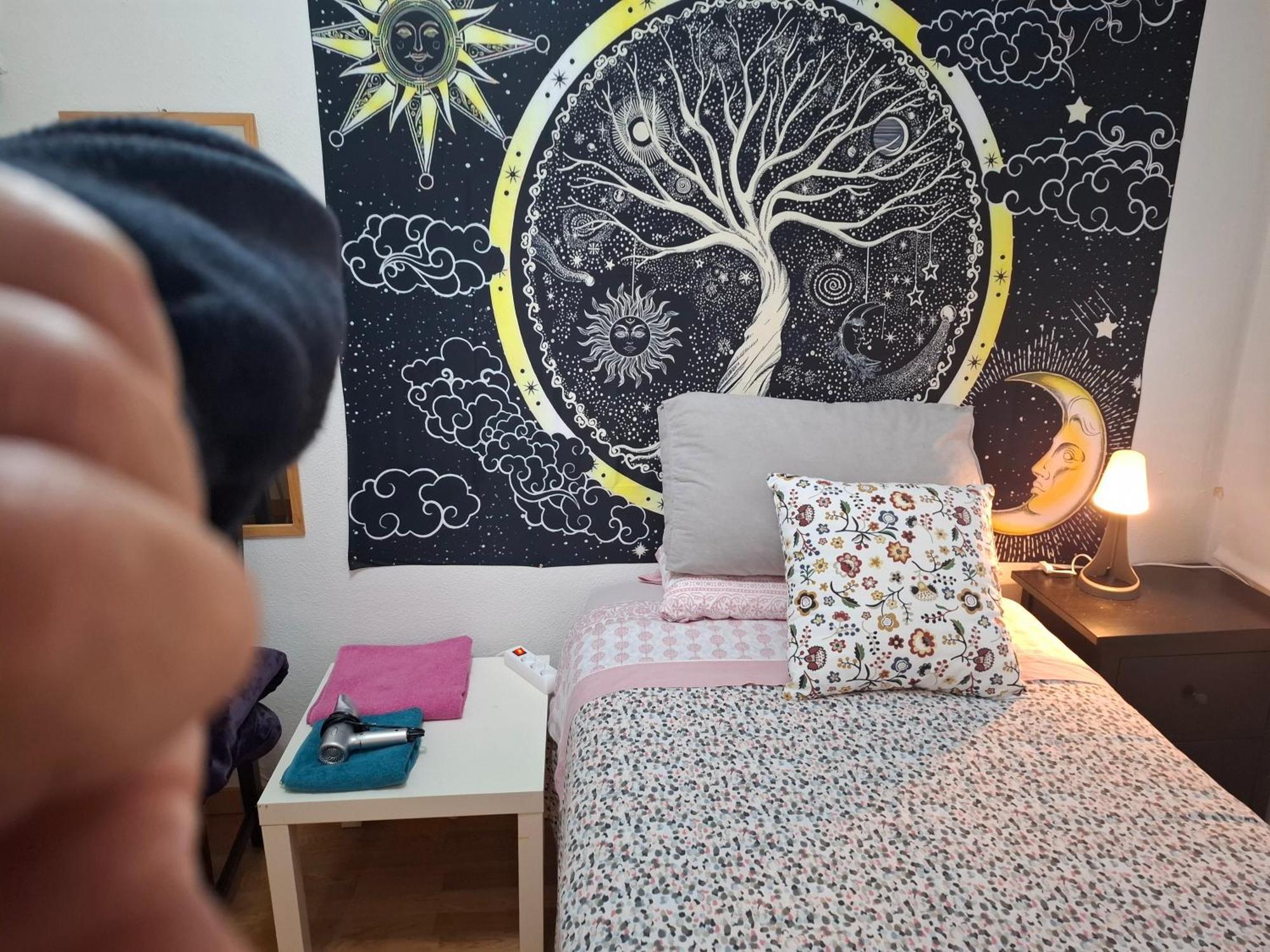 Habitaciones Individuales Wifi Tv Microondas Cerca Del Aeropuerto Madrid Habitacion Grande Wc Privado O Habitacion Pequena Wc Compartido Muy Tranquilas Bien Comunicadas Tren Metro Bus Facil Aparcamiento ซานเซบัสเตียน เดลอส เรเยส ภายนอก รูปภาพ